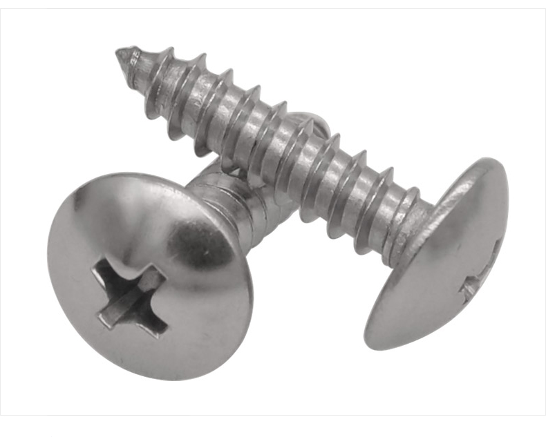 十字槽扁圓頭螺釘2 十字槽扁圓頭螺釘2